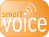 Grafik Smart Voice